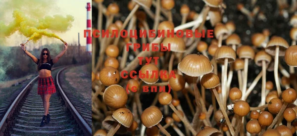 apvp Кинешма