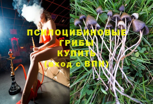 apvp Кинешма