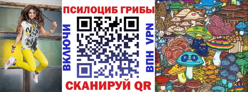 Галлюциногенные грибы мицелий  Купить где  Бугуруслан 